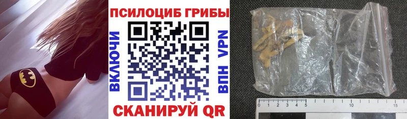 Псилоцибиновые грибы Magic Shrooms  blacksprut зеркало  Нефтегорск 